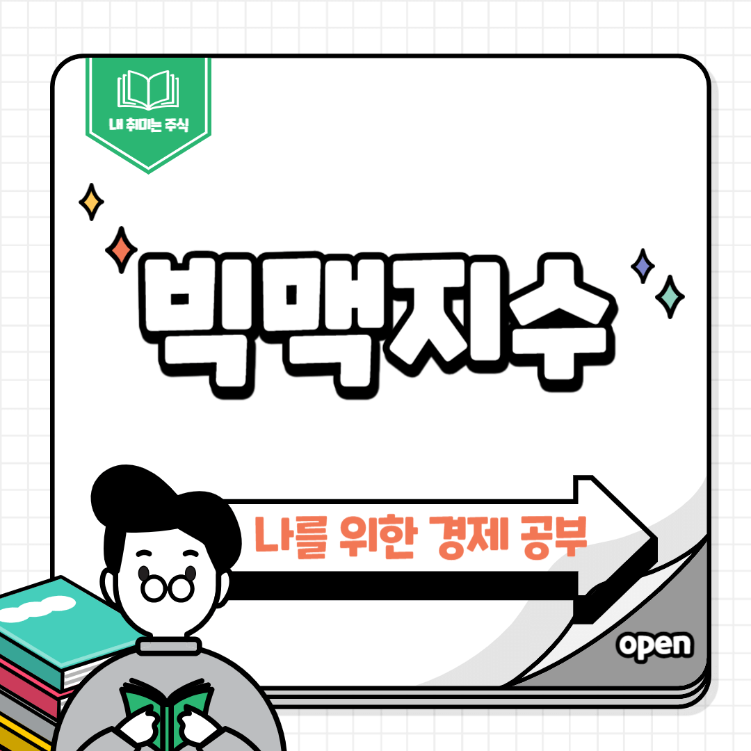 빅맥지수
