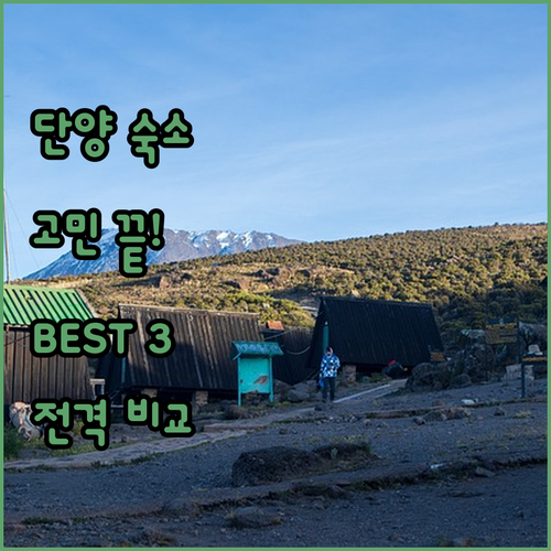 단양 숙소 고민 끝! 실제 방문객 후