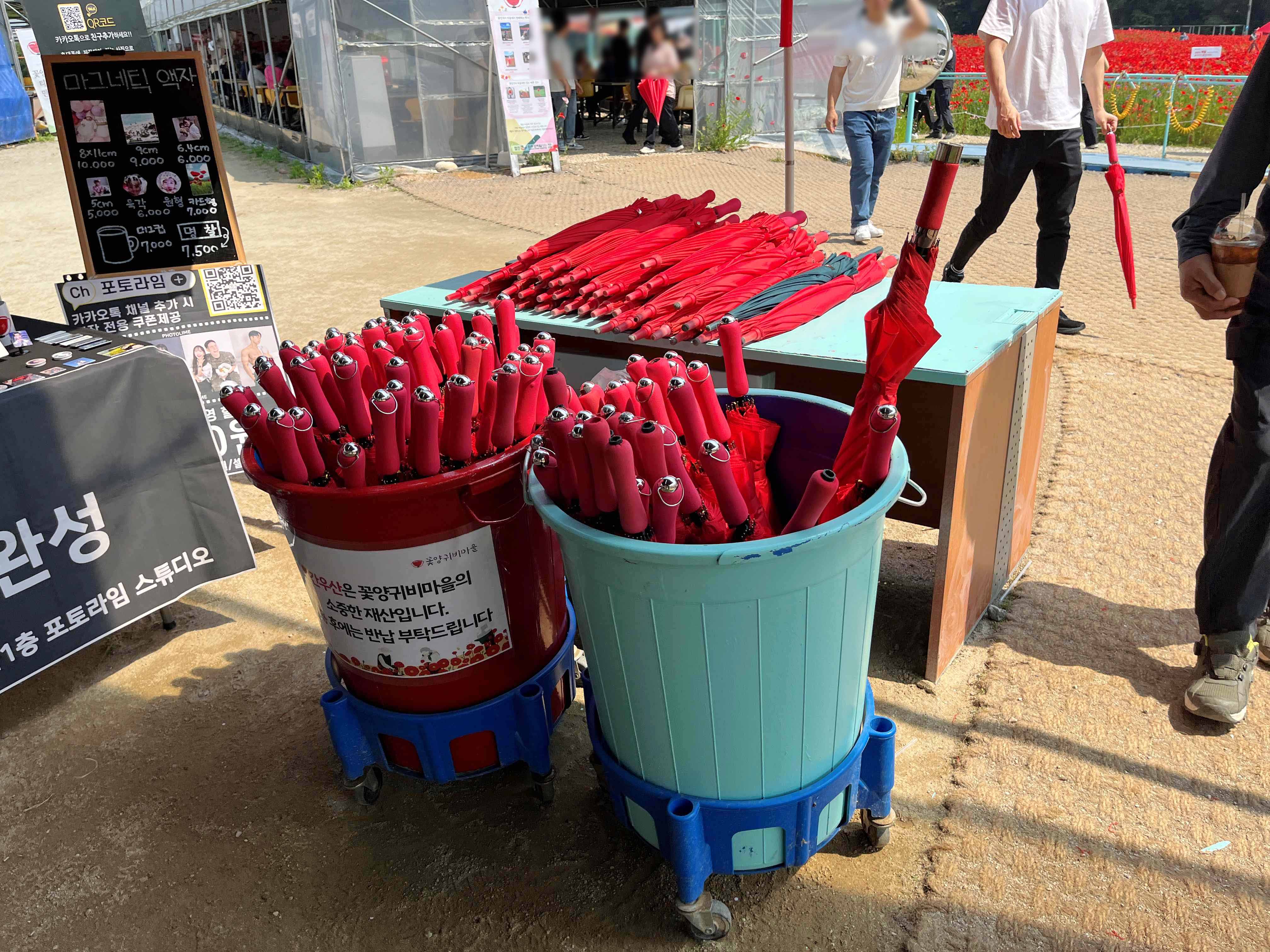 용수골 꽃양귀비 축제