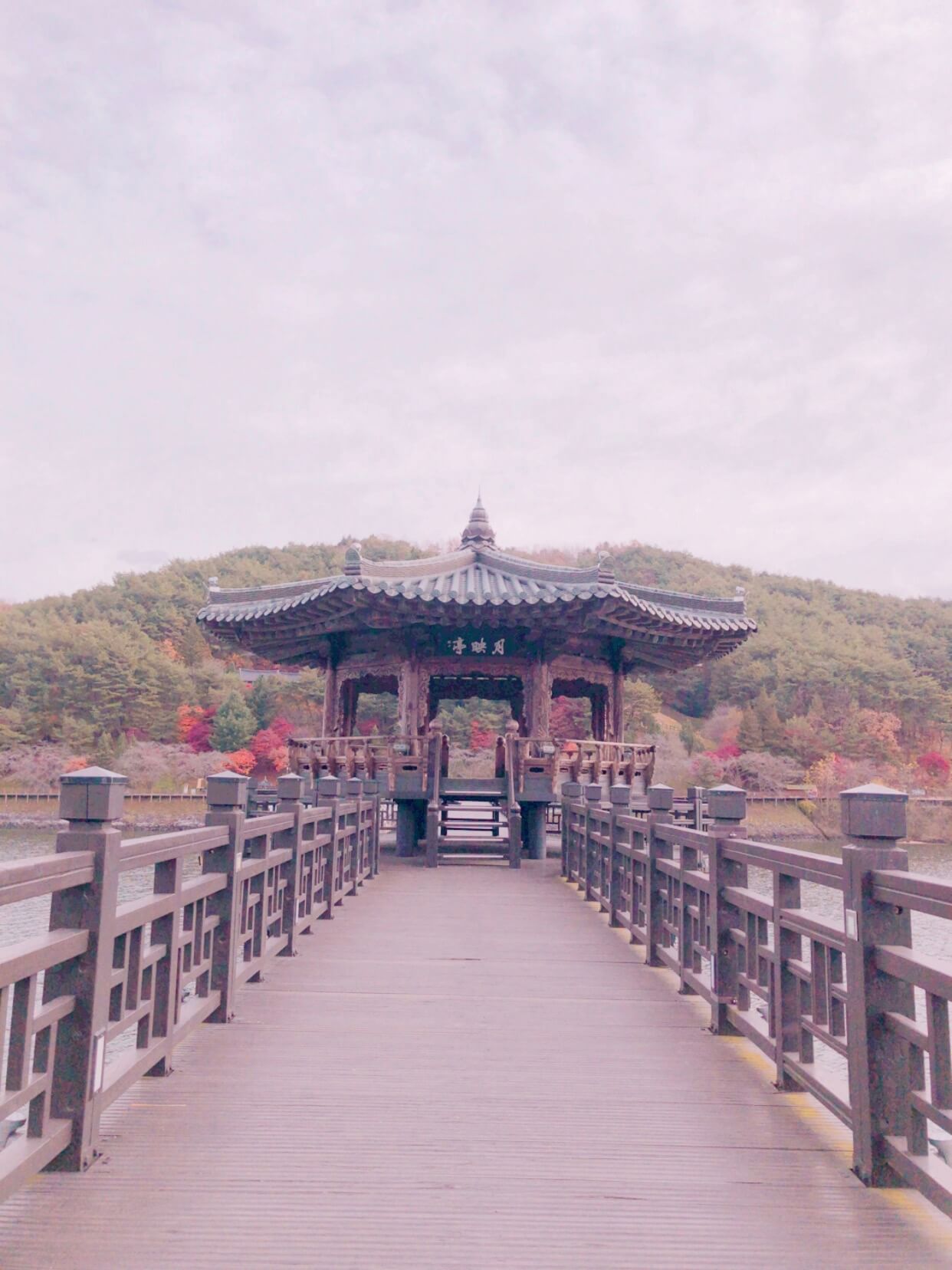 안동 월영교