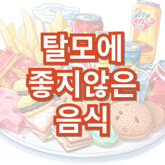 탈모에_좋지않은_음식_생활습관