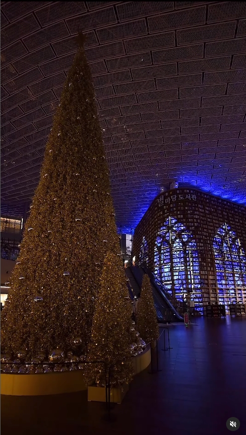 예쁜 크리스마트 트리 있는 곳