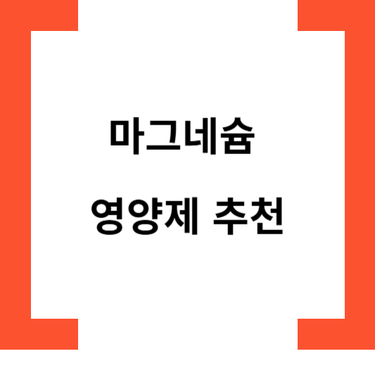 마그네슘 영양제 추천