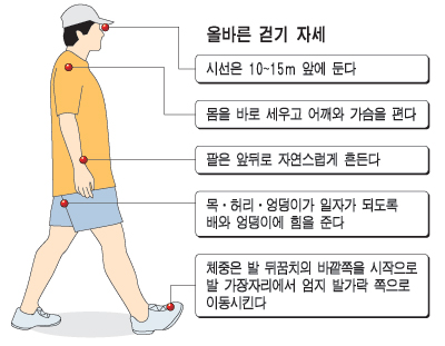 바른 걷기 자세
