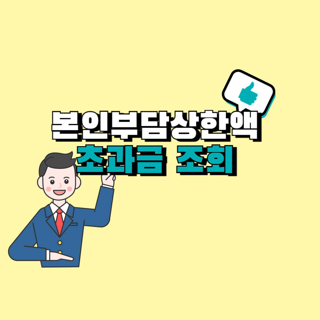 본인부담상한액 초과금 조회