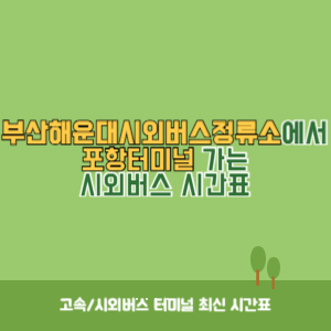 부산해운대시외버스정류소에서 포항터미널&nbsp;가는 시외버스 시간표 최신정보