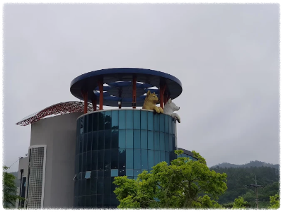 진도개테마파크