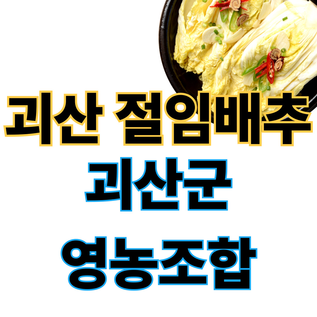 괴산 절임배추