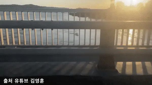 한강 괴생물체 동영상