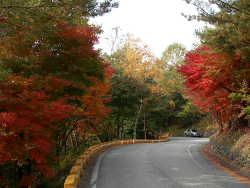 도산서원에서 예끼마을까지 걷기 코스 & 여행 루트 관련 사진