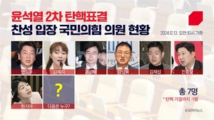 2차 탄핵 소추안