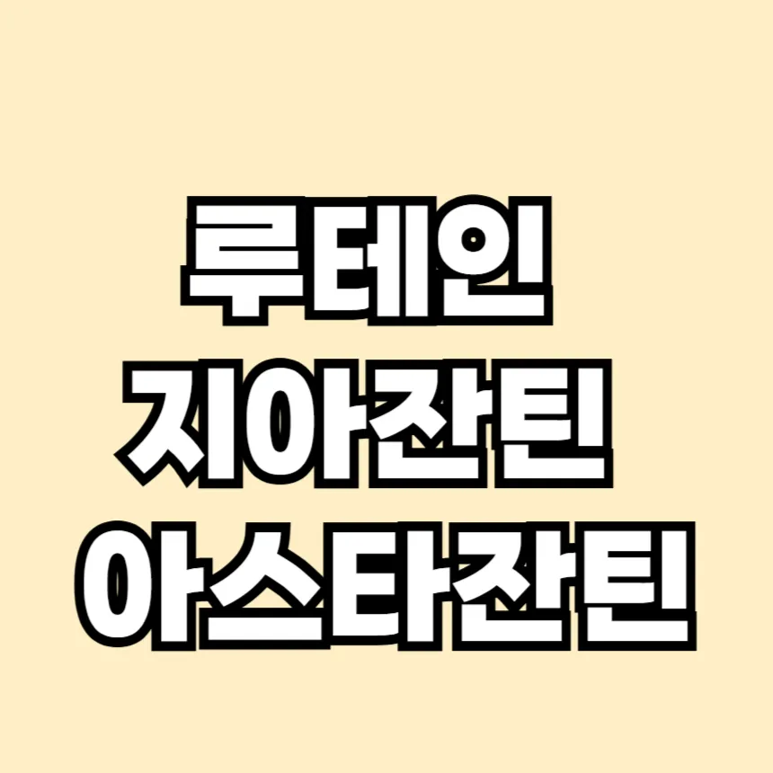 루테인 지아잔틴 아스타잔틴