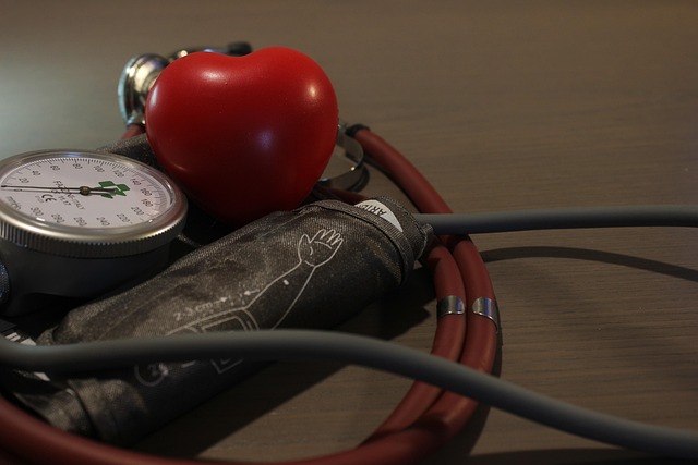 고지혈증에 좋은 음식 27