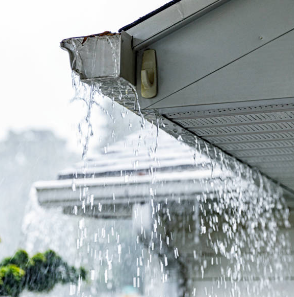 2025년 장기간 및 태풍예보 총정리