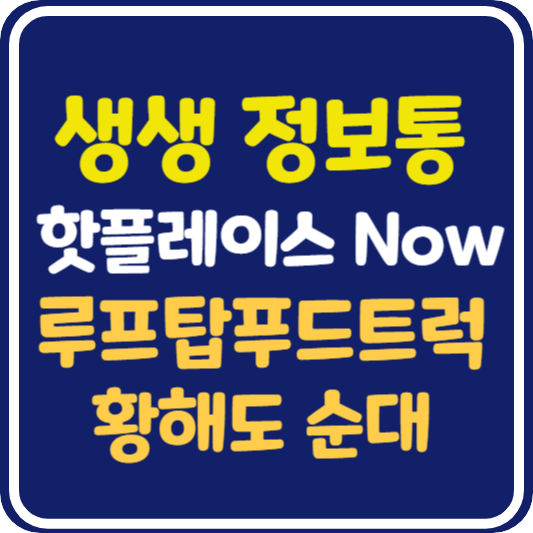 생생 정보통 경동시장 루프탑 푸드트럭 야시장, 황해도 순대 : 핫플레이스 Now