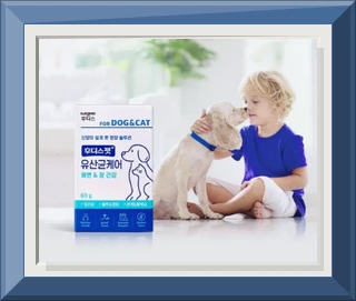 후디스펫 장케어 유산균, 강아지/고양이 장 건강 위한 선택 이미지 2