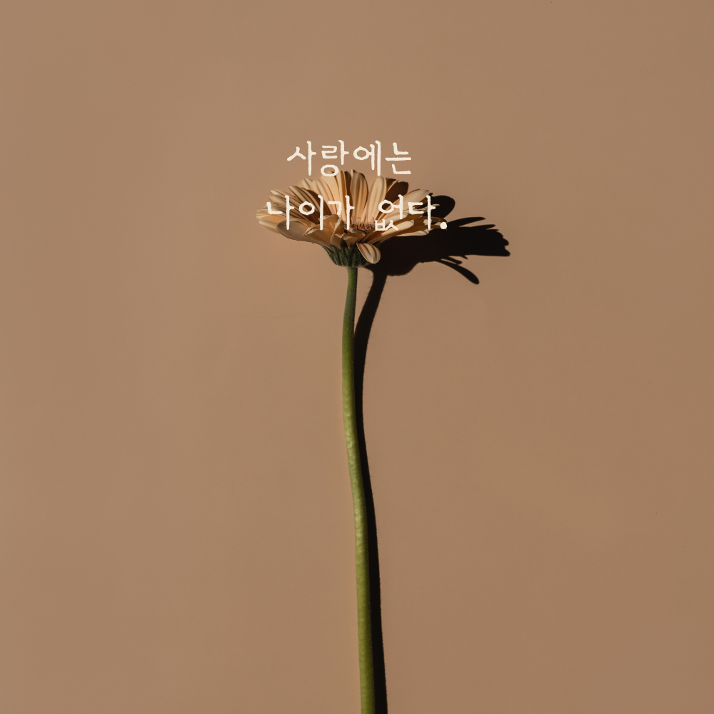 짧고 좋은 사랑 글귀 좋은글 문구 이미지 모음