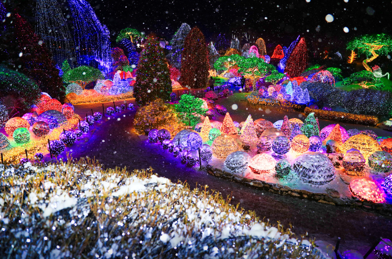 아침고요수목원1