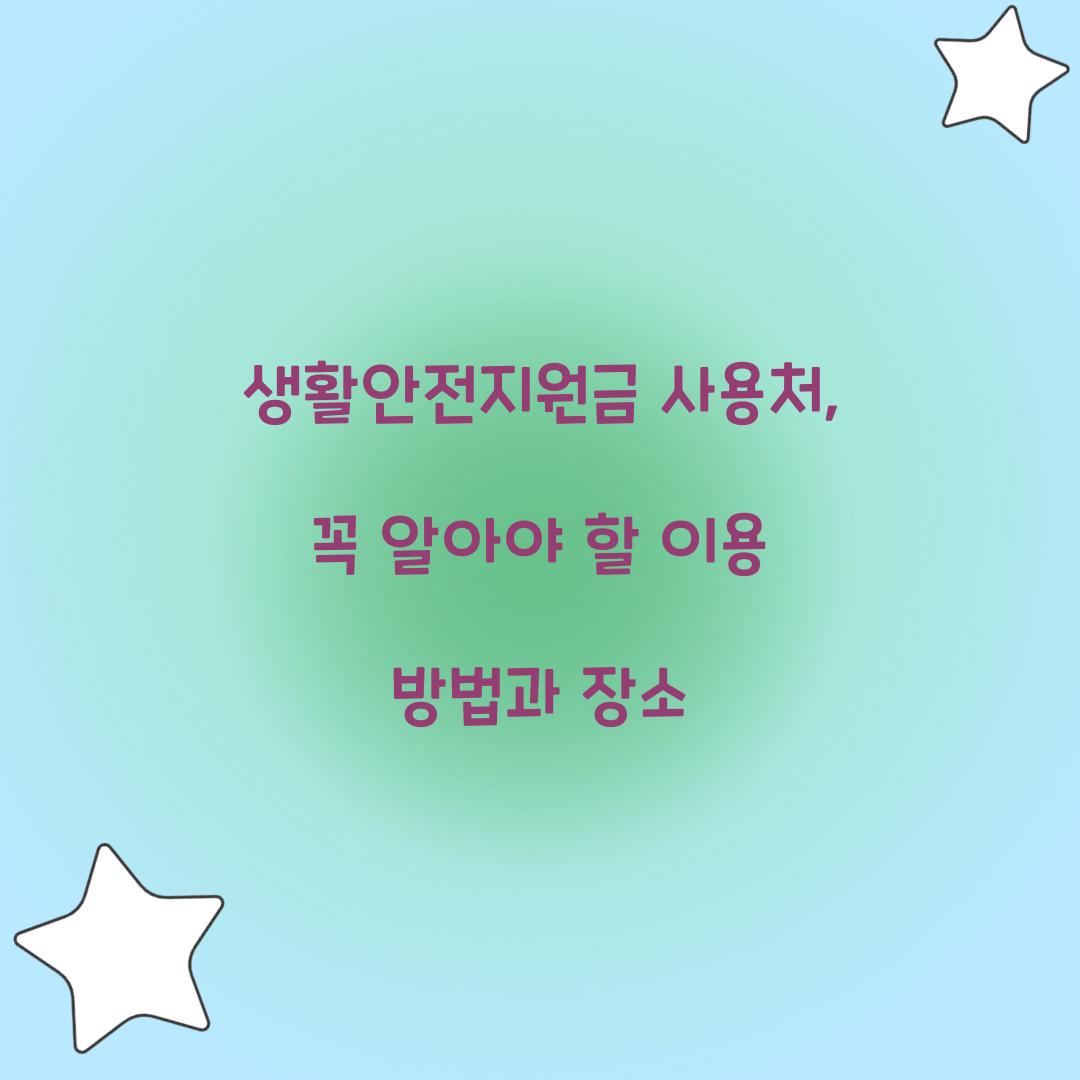 생활안전지원금 사용처