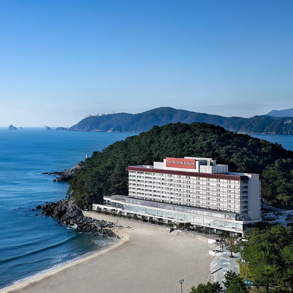 부산 웨스틴조선호텔 실제 투숙 솔직한 후기와 예약 팁_3