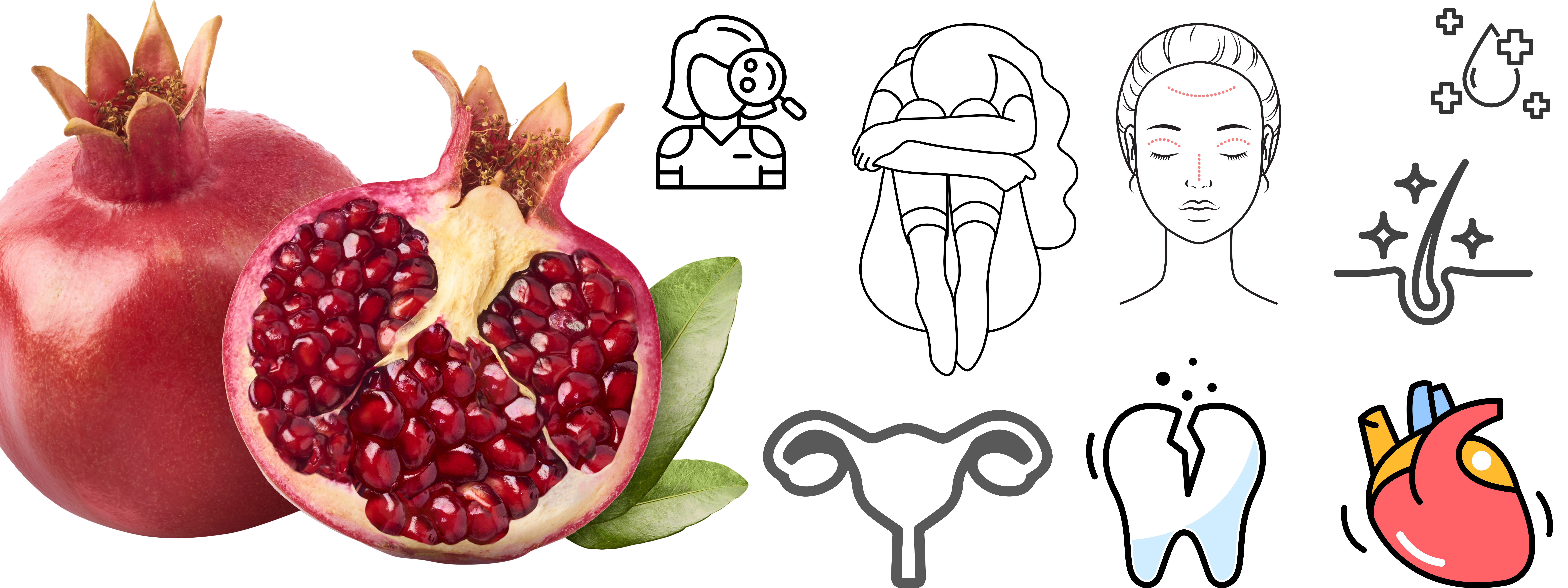 석류의 효능 호르몬 갱년기