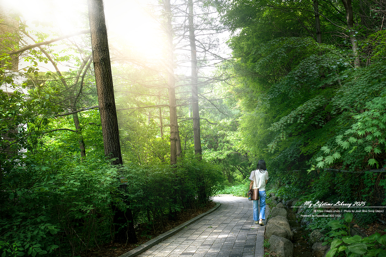 #봄 #캠퍼스 #대학교 #서울대 #서울 #오후 #서울대학교