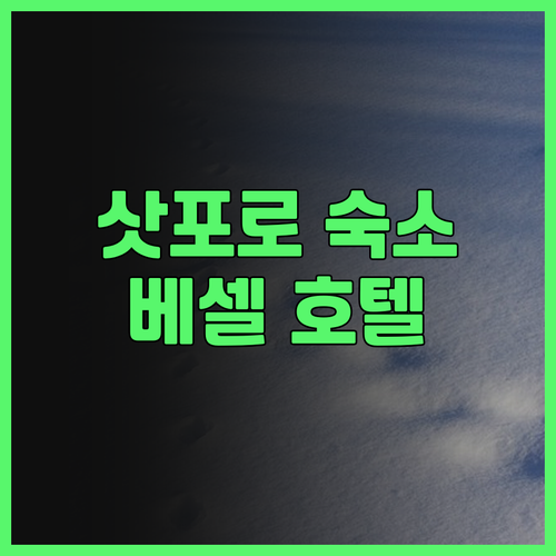 삿포로 숙소 고민 끝! 베셀 인 사포