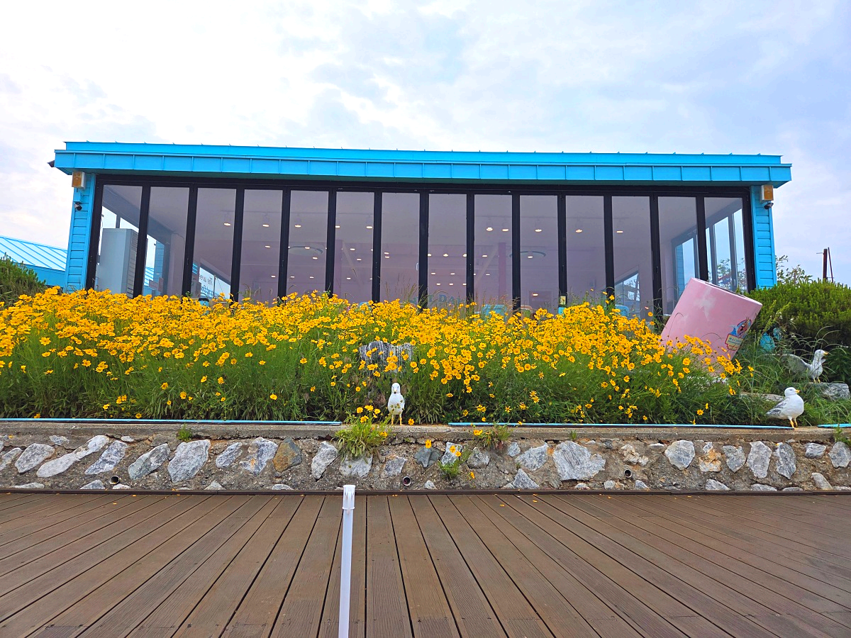 동해 묵호 가볼만한 곳 논골담길 - 바다와 골목, 벽화로 만나는 감성 여행지