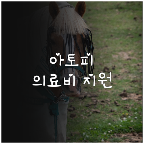 필수 확인 2025 양천구 아토피 천..