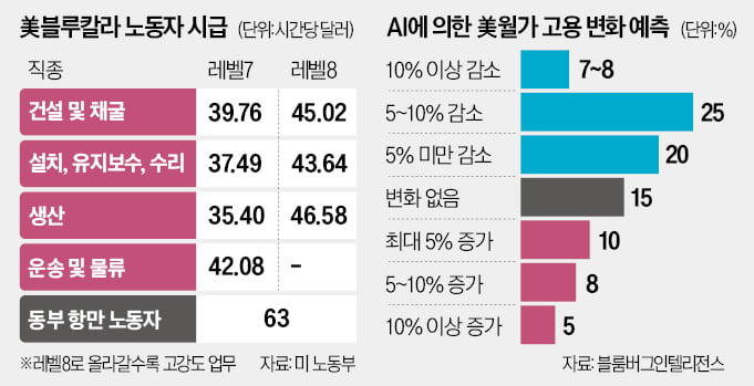미국 AI와 일자리 대체
