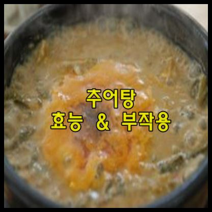 추어탕 효능
