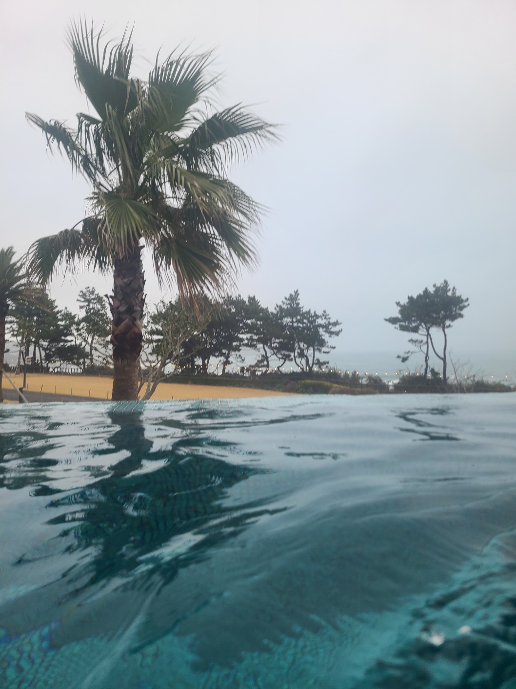 제주 여행 파르나스 호텔 제주