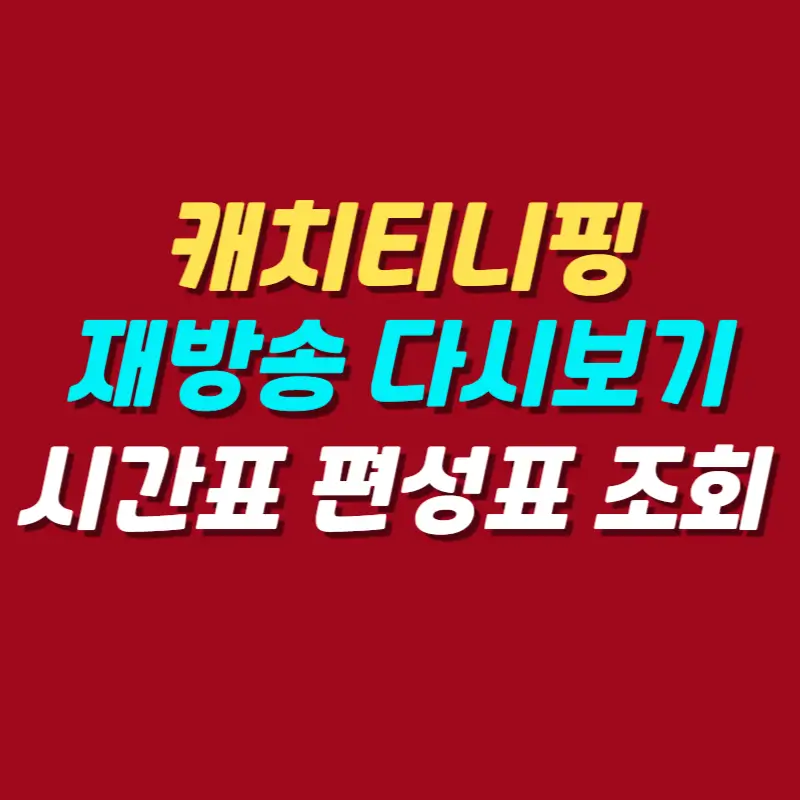 캐치티니핑-재방송-일정