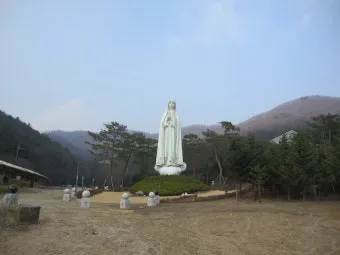천진암 흰민들레 백양자연관찰로 괭이눈 개화_18
