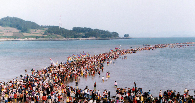 무창포 신비의 바닷길이 열리다