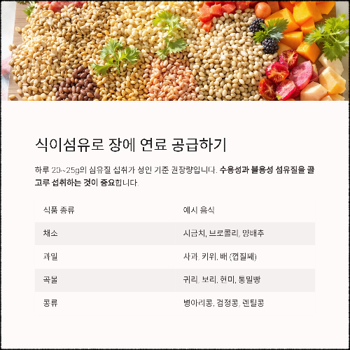 장 건강을 위한 변비 탈출 식단 전략 7가지