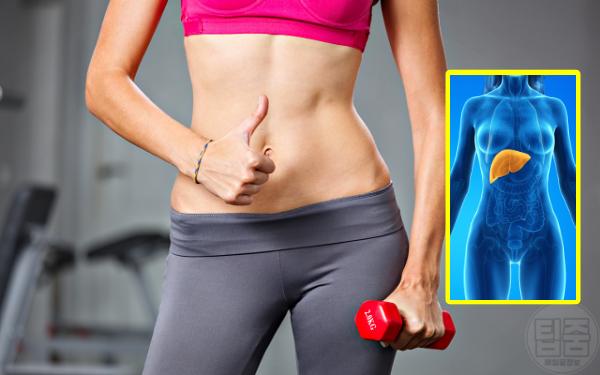 간에 안좋은 행동 습관 간 전문의 추천 운동부족