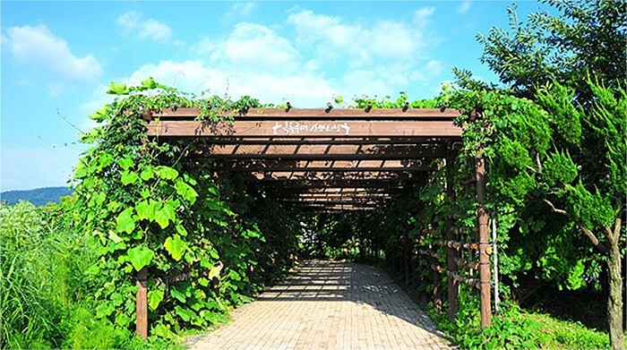 순천만 습지 용산전망대