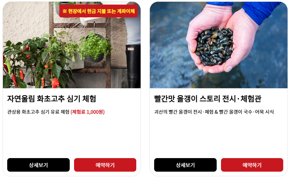 사전예약 프로그램1