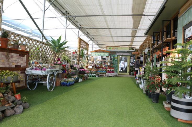 원예식물-체험농장