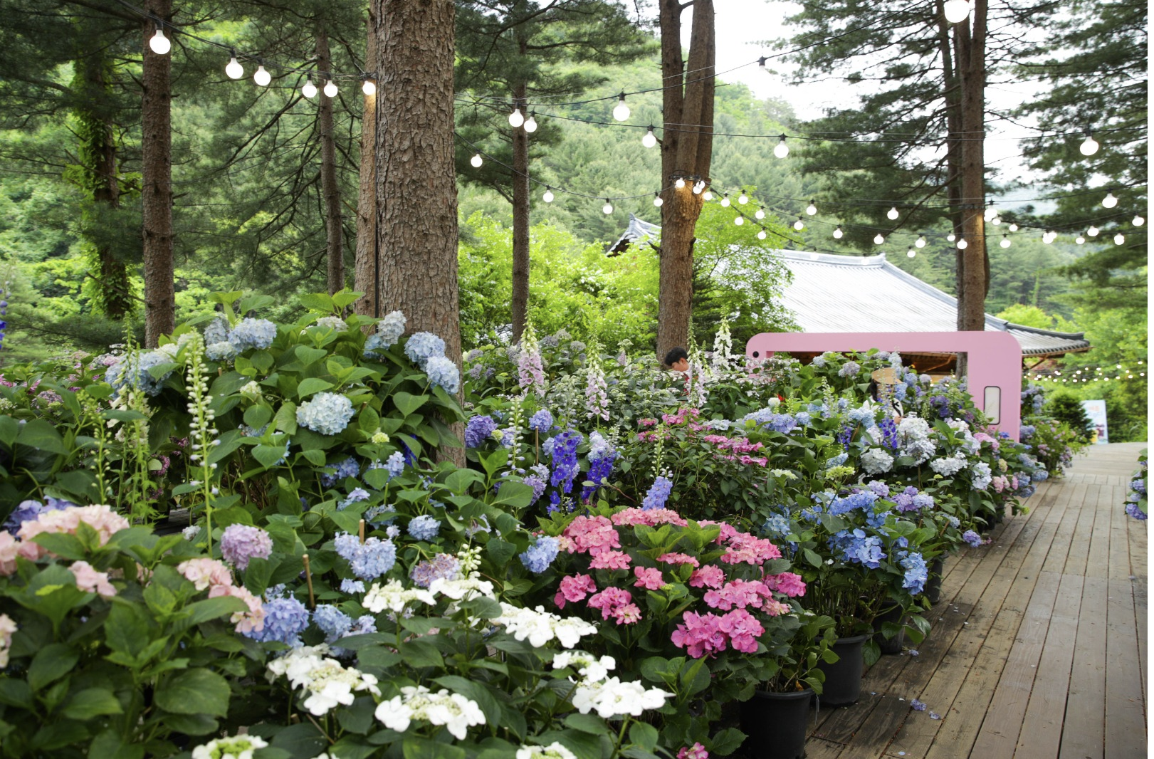 아침고요수목원 정원