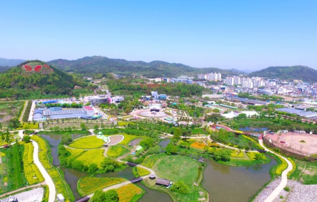 함평-나비-대축제-사진