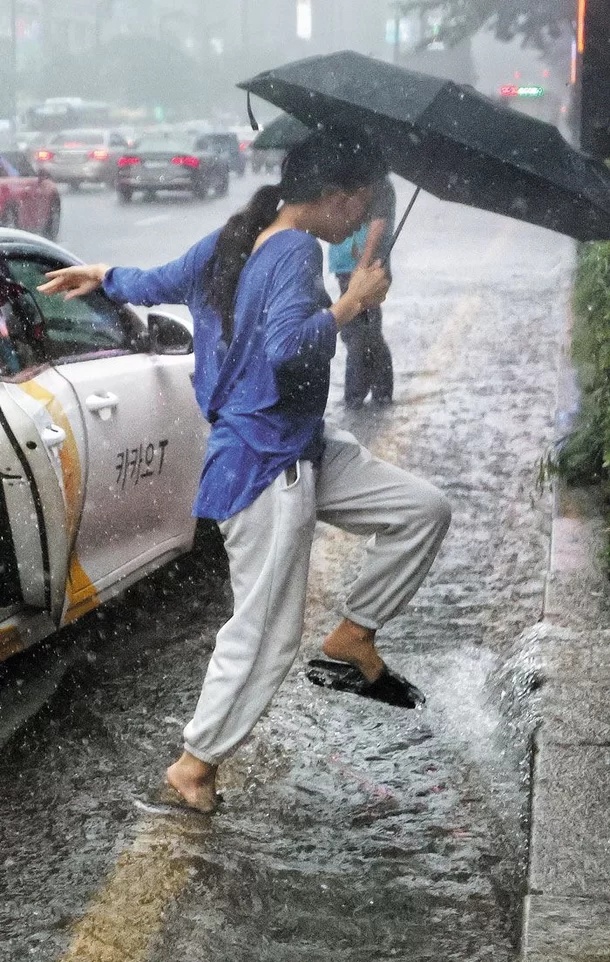 서울 강남 폭우