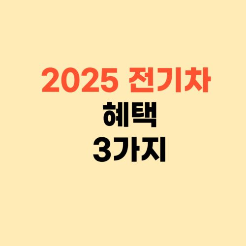 2025 전기차 보조금 ❘ 통행료 주차비 까지 확인하세요