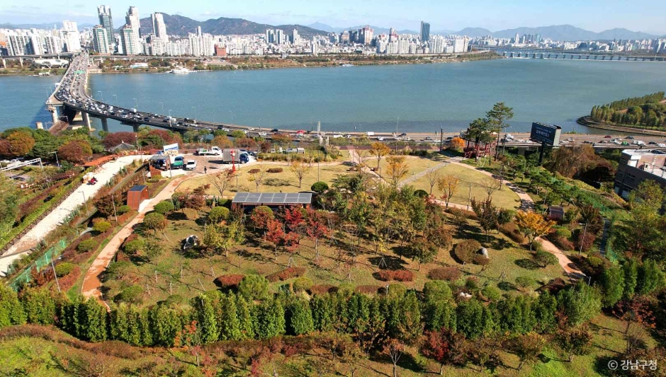 서울 강남 가볼만한곳 - 6 강남 도심 공원 피크닉&amp;#44; 공원&amp;#44; 체육공원 갈만한 곳 놀만한 곳 추천 관광 여행지 여행지도 강남명소&amp;#44; 근교 여행7