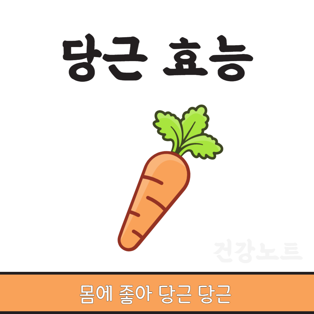 당근 효능