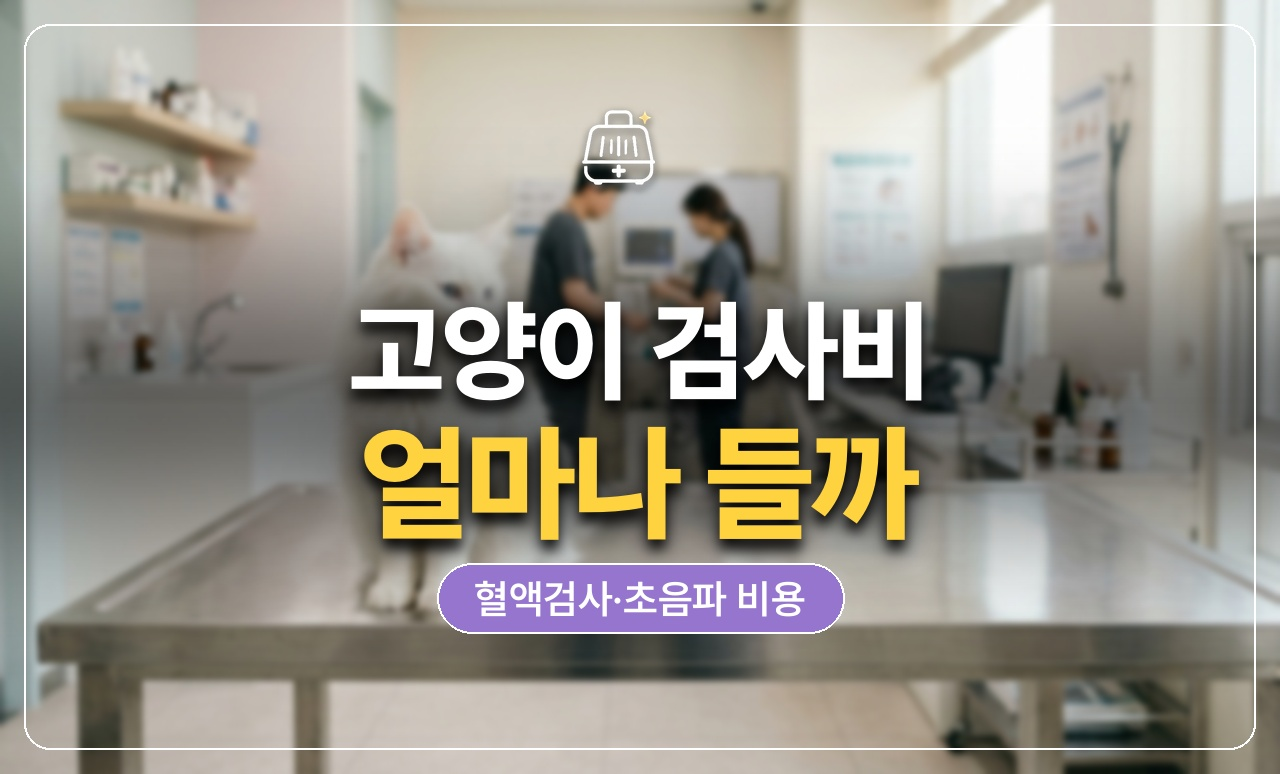 고양이 검사비용 썸네일