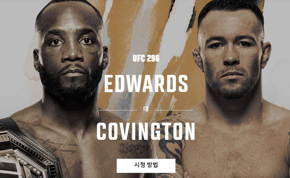 UFC296