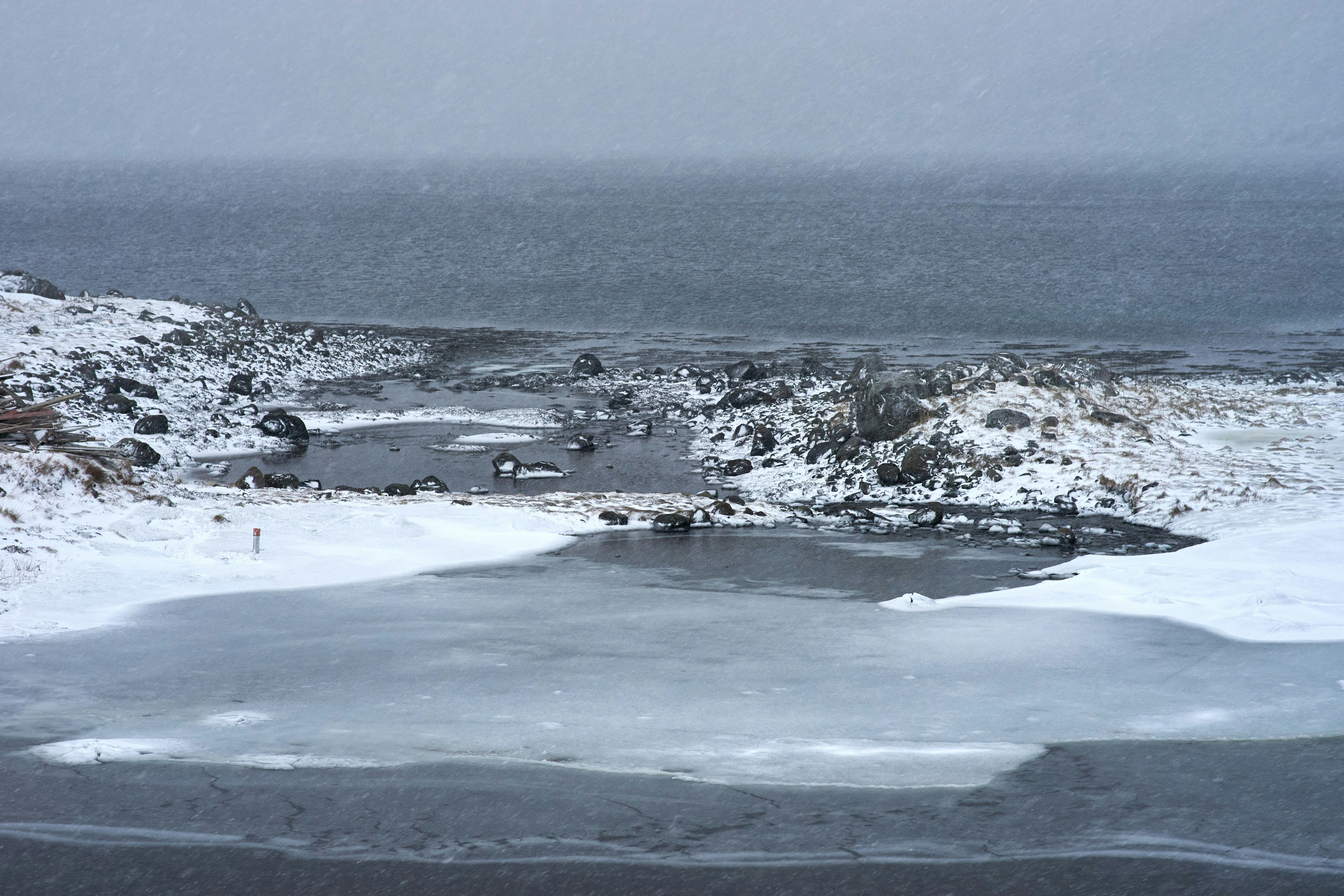 눈 덮인 겨울 해외 바다 관련 사진
