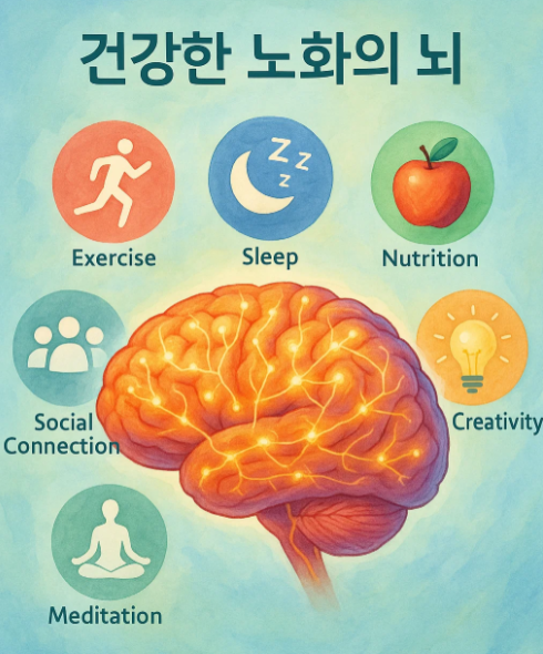 과학으로 살펴본 인지 건강 관리법